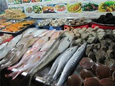 水產(chǎn)魚(yú)類市場(chǎng)價(jià)格與行業(yè)動(dòng)態(tài)深度解析